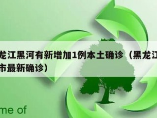 黑龙江黑河有新增加1例本土确诊（黑龙江黑河市最新确诊）