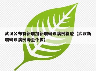 武汉公布有新增加新增确诊病例轨迹（武汉新增确诊病例降至个位）
