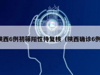 陕西6例初筛阳性待复核（陕西确诊6例）