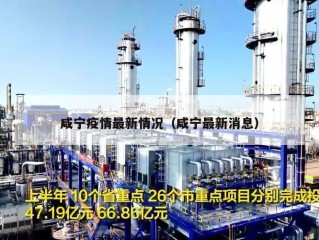 咸宁疫情最新情况（咸宁最新消息）