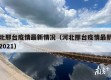 河北邢台疫情最新情况（河北邢台疫情最新消息2021）