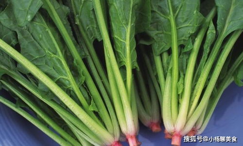 菠菜网最新平台网官方版全面解析：2026必备购彩神器推荐