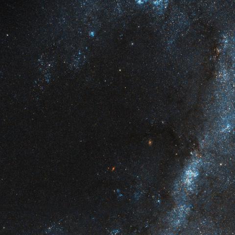 星空.comapp,星空.comapp V6.41.2IOS/安卓版/手机版APP 星空.comapp,星空.comapp V6.41.2IOS/安卓版/手机版APP