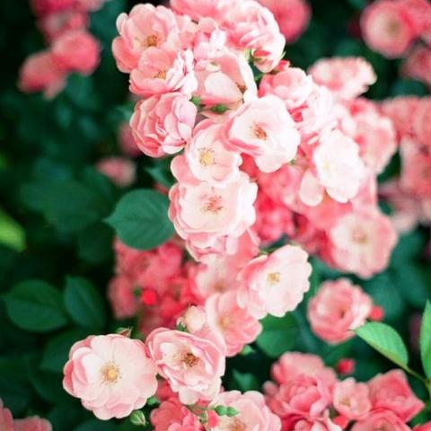 时时赚app下载绿色版V81.37.171.157ios版本-推荐